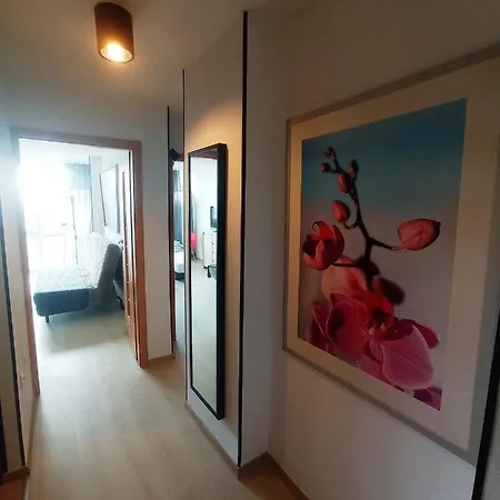 Apartment Topone *